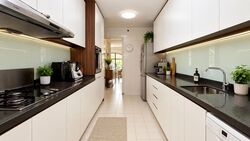 Tanglin Park (D10), Condominium #621766921